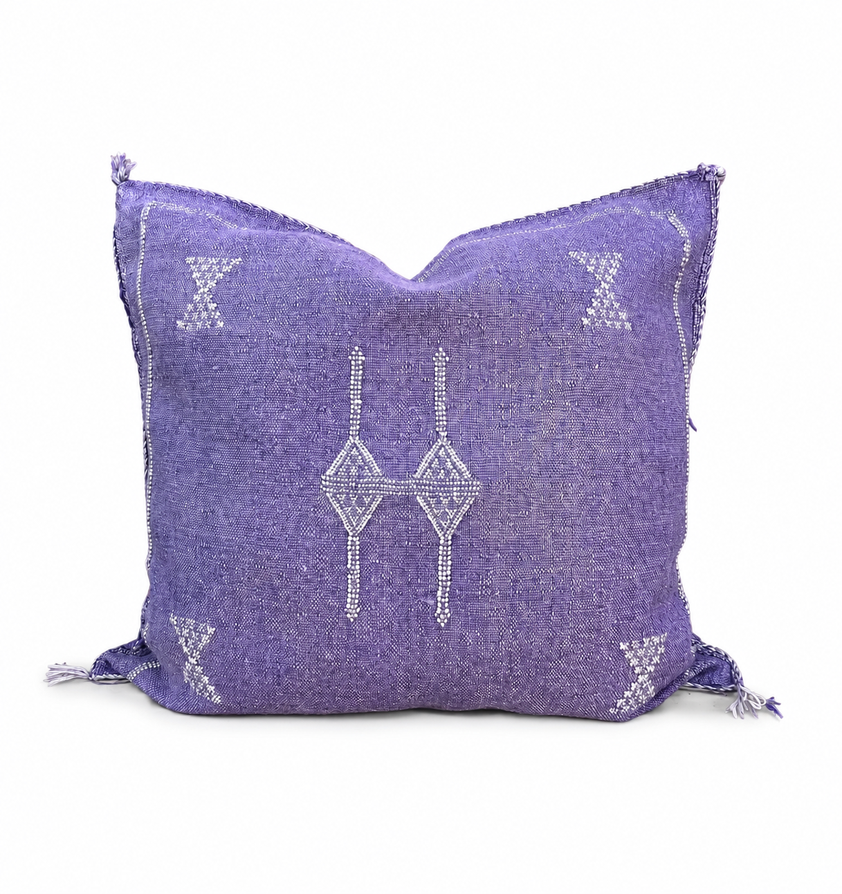 Cactus Silk Pillows